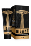 Gel Gigant – in farmacia, prezzo, recensioni vere, bugiardino, è pericoloso?